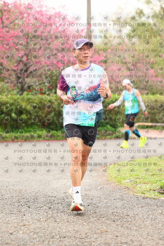 2026左岸竹東櫻花馬拉松Zhudong Sakura Marathon