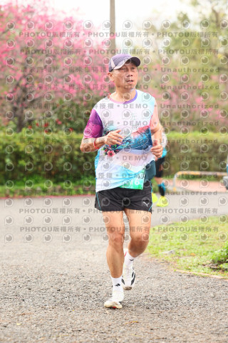 2026左岸竹東櫻花馬拉松Zhudong Sakura Marathon
