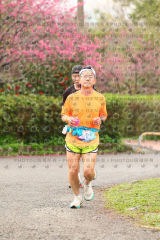 2026左岸竹東櫻花馬拉松Zhudong Sakura Marathon