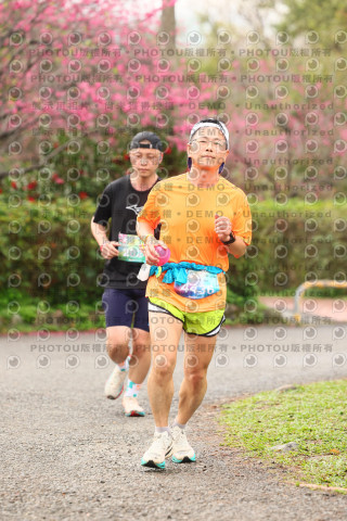 2026左岸竹東櫻花馬拉松Zhudong Sakura Marathon