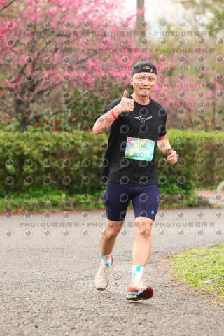 2026左岸竹東櫻花馬拉松Zhudong Sakura Marathon