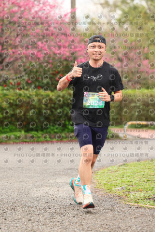 2026左岸竹東櫻花馬拉松Zhudong Sakura Marathon