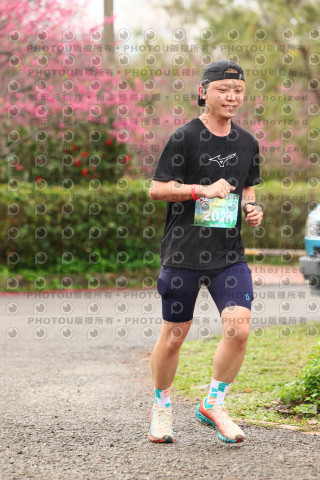 2026左岸竹東櫻花馬拉松Zhudong Sakura Marathon