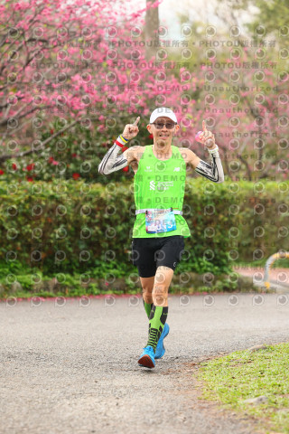 2026左岸竹東櫻花馬拉松Zhudong Sakura Marathon