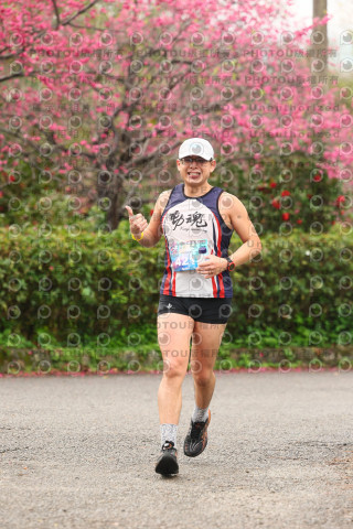 2026左岸竹東櫻花馬拉松Zhudong Sakura Marathon