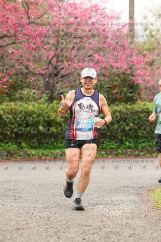 2026左岸竹東櫻花馬拉松Zhudong Sakura Marathon