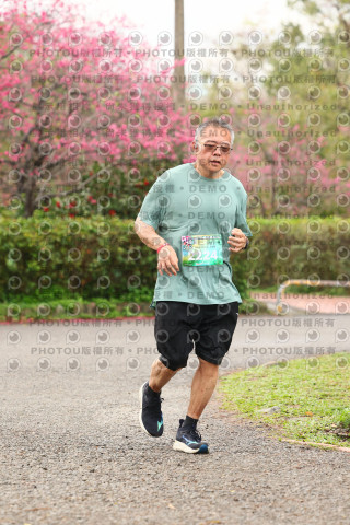 2026左岸竹東櫻花馬拉松Zhudong Sakura Marathon