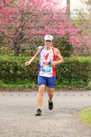 2026左岸竹東櫻花馬拉松Zhudong Sakura Marathon