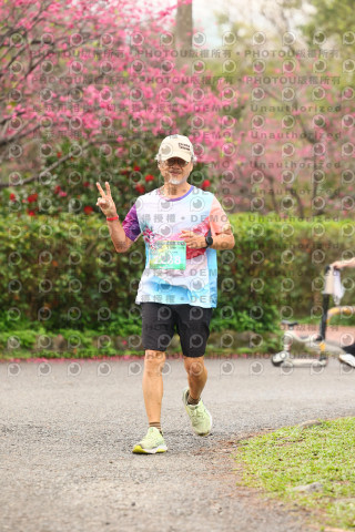 2026左岸竹東櫻花馬拉松Zhudong Sakura Marathon