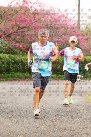2026左岸竹東櫻花馬拉松Zhudong Sakura Marathon