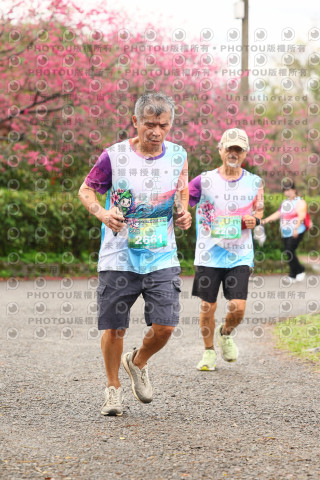 2026左岸竹東櫻花馬拉松Zhudong Sakura Marathon