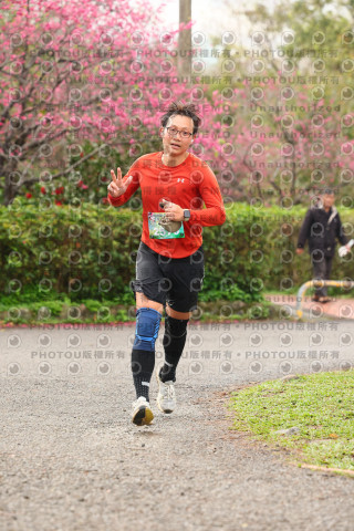 2026左岸竹東櫻花馬拉松Zhudong Sakura Marathon