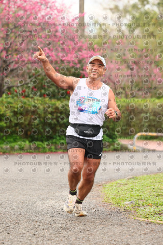 2026左岸竹東櫻花馬拉松Zhudong Sakura Marathon