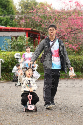 2026左岸竹東櫻花馬拉松Zhudong Sakura Marathon