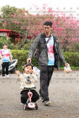 2026左岸竹東櫻花馬拉松Zhudong Sakura Marathon