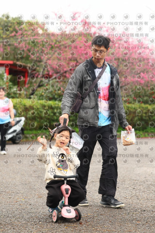 2026左岸竹東櫻花馬拉松Zhudong Sakura Marathon