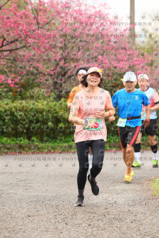 2026左岸竹東櫻花馬拉松Zhudong Sakura Marathon