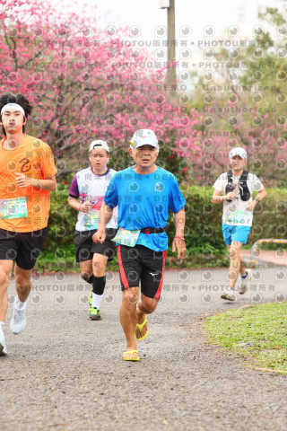 2026左岸竹東櫻花馬拉松Zhudong Sakura Marathon
