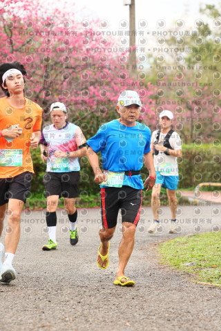 2026左岸竹東櫻花馬拉松Zhudong Sakura Marathon