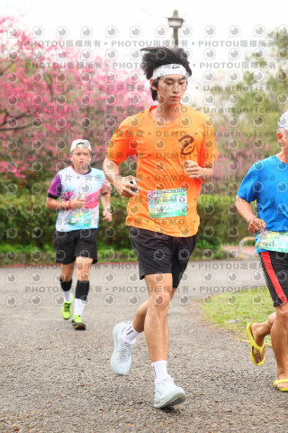 2026左岸竹東櫻花馬拉松Zhudong Sakura Marathon