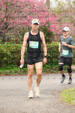 2026左岸竹東櫻花馬拉松Zhudong Sakura Marathon