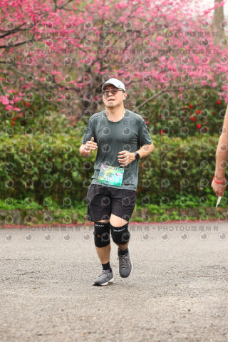 2026左岸竹東櫻花馬拉松Zhudong Sakura Marathon