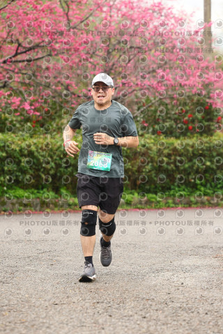 2026左岸竹東櫻花馬拉松Zhudong Sakura Marathon