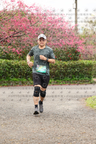 2026左岸竹東櫻花馬拉松Zhudong Sakura Marathon