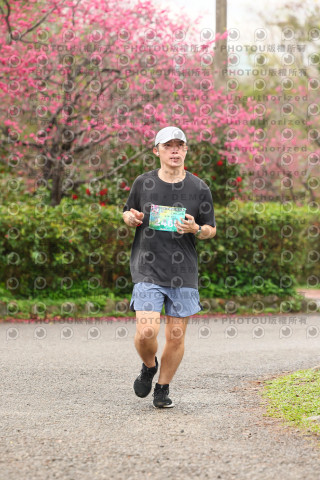 2026左岸竹東櫻花馬拉松Zhudong Sakura Marathon