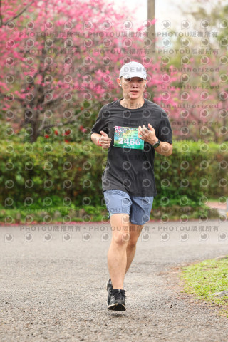 2026左岸竹東櫻花馬拉松Zhudong Sakura Marathon