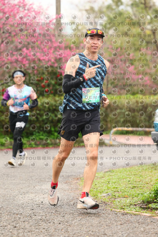 2026左岸竹東櫻花馬拉松Zhudong Sakura Marathon