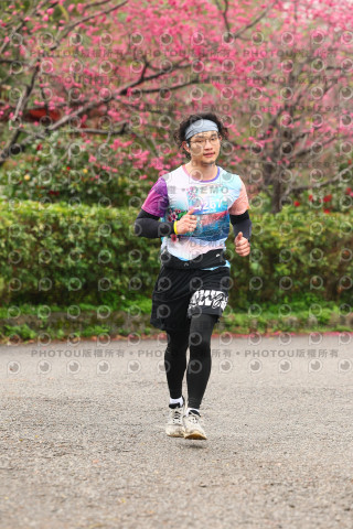 2026左岸竹東櫻花馬拉松Zhudong Sakura Marathon