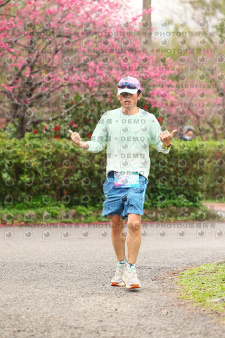 2026左岸竹東櫻花馬拉松Zhudong Sakura Marathon