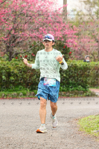 2026左岸竹東櫻花馬拉松Zhudong Sakura Marathon