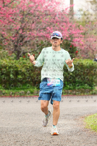 2026左岸竹東櫻花馬拉松Zhudong Sakura Marathon