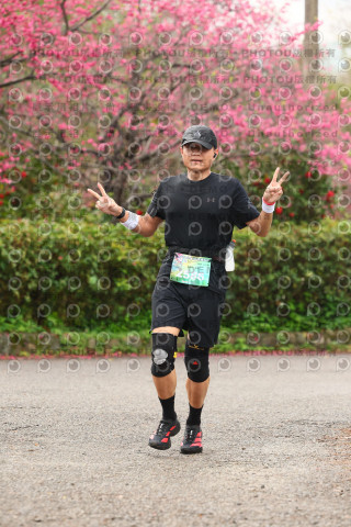 2026左岸竹東櫻花馬拉松Zhudong Sakura Marathon