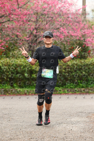 2026左岸竹東櫻花馬拉松Zhudong Sakura Marathon