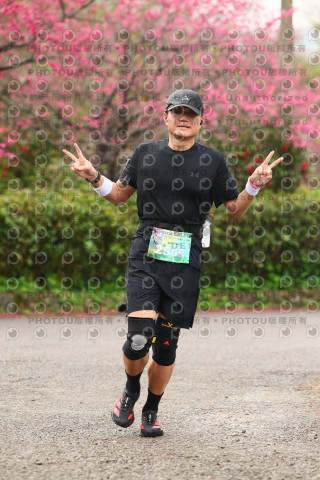 2026左岸竹東櫻花馬拉松Zhudong Sakura Marathon