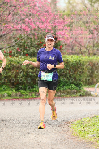 2026左岸竹東櫻花馬拉松Zhudong Sakura Marathon