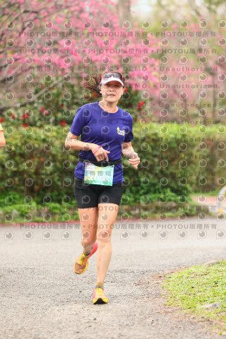2026左岸竹東櫻花馬拉松Zhudong Sakura Marathon