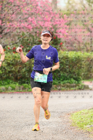 2026左岸竹東櫻花馬拉松Zhudong Sakura Marathon