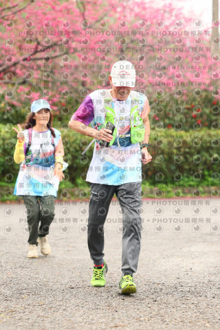 2026左岸竹東櫻花馬拉松Zhudong Sakura Marathon
