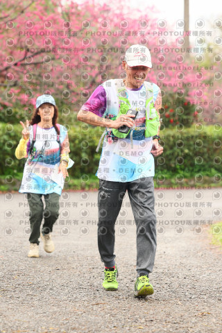 2026左岸竹東櫻花馬拉松Zhudong Sakura Marathon