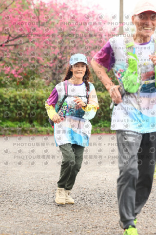 2026左岸竹東櫻花馬拉松Zhudong Sakura Marathon
