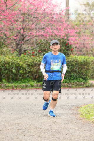 2026左岸竹東櫻花馬拉松Zhudong Sakura Marathon