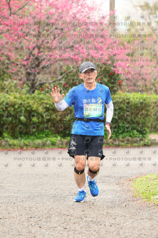 2026左岸竹東櫻花馬拉松Zhudong Sakura Marathon