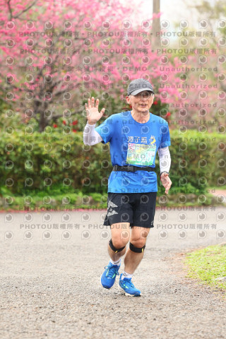 2026左岸竹東櫻花馬拉松Zhudong Sakura Marathon