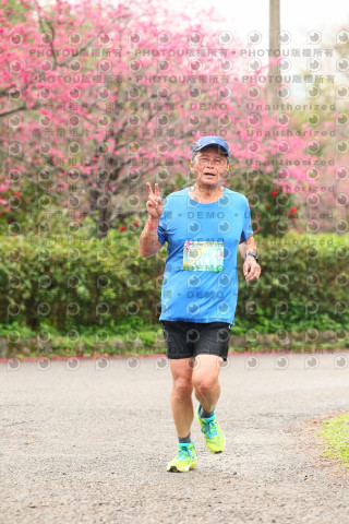 2026左岸竹東櫻花馬拉松Zhudong Sakura Marathon