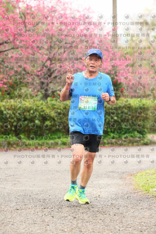 2026左岸竹東櫻花馬拉松Zhudong Sakura Marathon