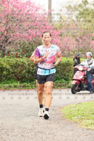 2026左岸竹東櫻花馬拉松Zhudong Sakura Marathon